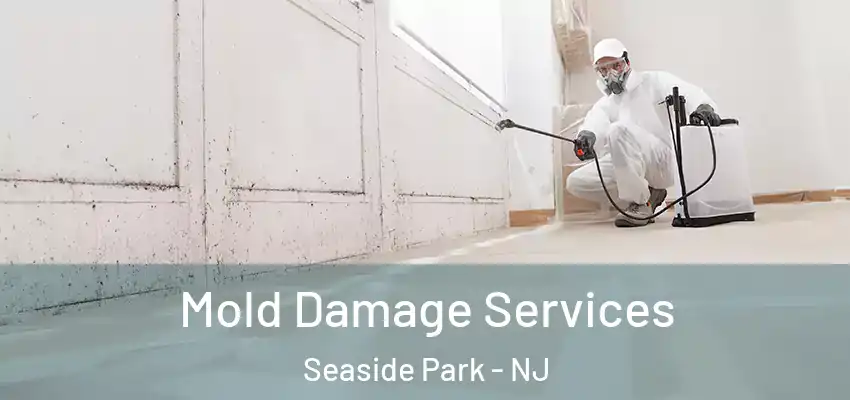 Mold Damage Services Seaside Park - NJ