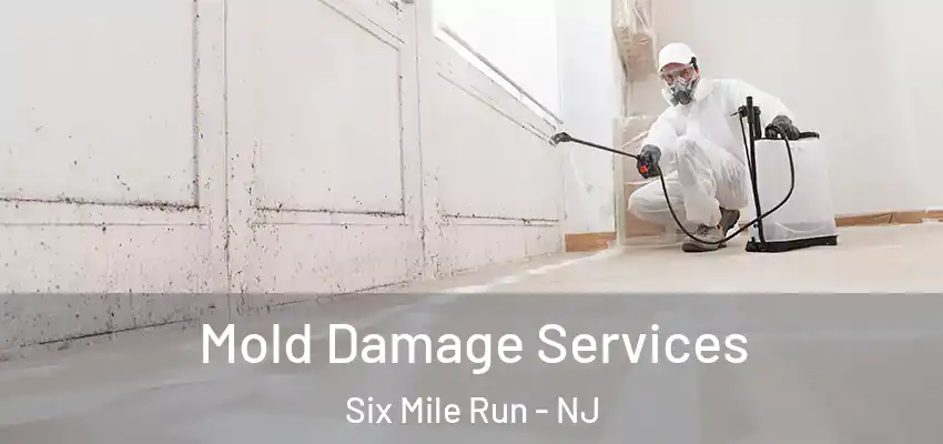 Mold Damage Services Six Mile Run - NJ