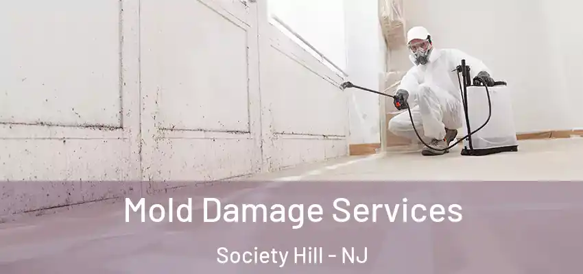 Mold Damage Services Society Hill - NJ