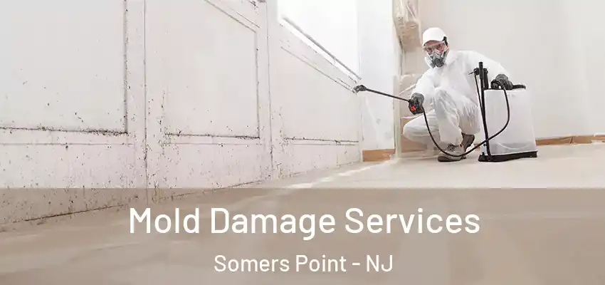  Mold Damage Services Somers Point - NJ