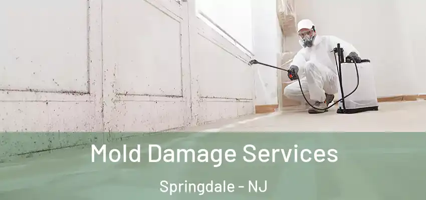  Mold Damage Services Springdale - NJ