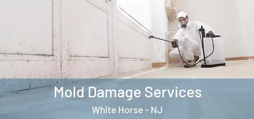 Mold Damage Services White Horse - NJ