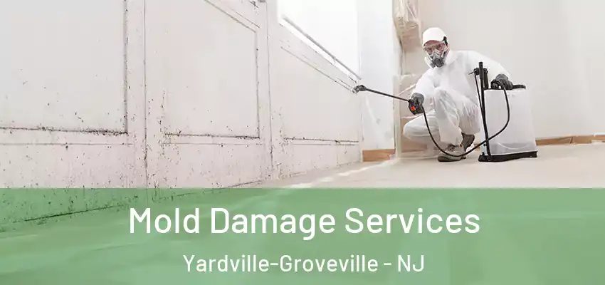 Mold Damage Services Yardville-Groveville - NJ