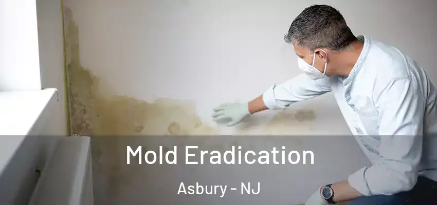  Mold Eradication Asbury - NJ
