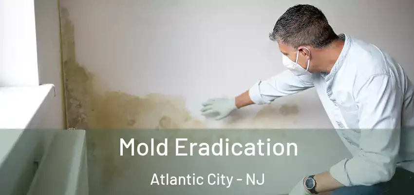 Mold Eradication Atlantic City - NJ