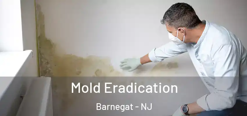  Mold Eradication Barnegat - NJ