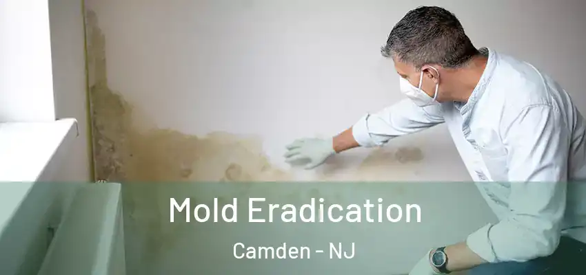 Mold Eradication Camden - NJ