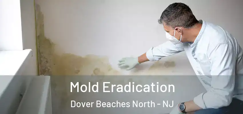  Mold Eradication Dover Beaches North - NJ