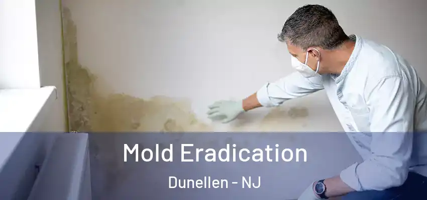 Mold Eradication Dunellen - NJ