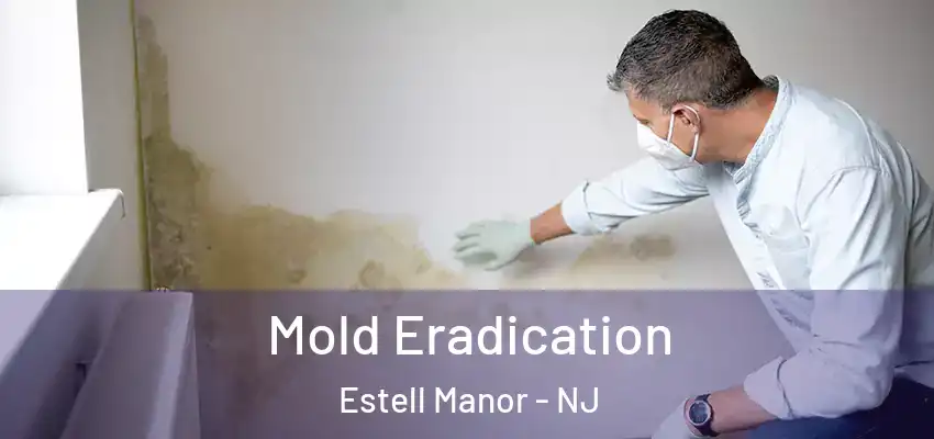  Mold Eradication Estell Manor - NJ