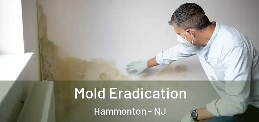 Mold Eradication Hammonton - NJ