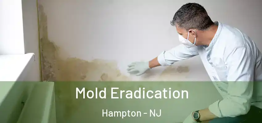  Mold Eradication Hampton - NJ