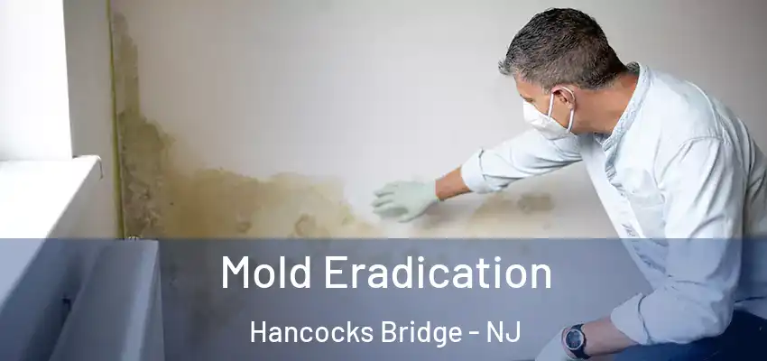  Mold Eradication Hancocks Bridge - NJ