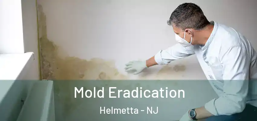  Mold Eradication Helmetta - NJ