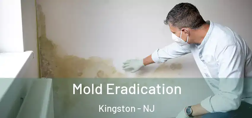  Mold Eradication Kingston - NJ