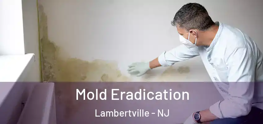  Mold Eradication Lambertville - NJ