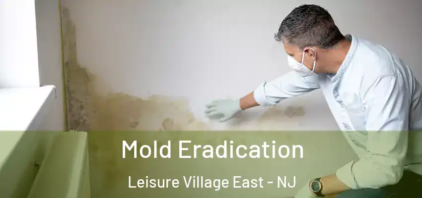 Mold Eradication Leisure Village East - NJ