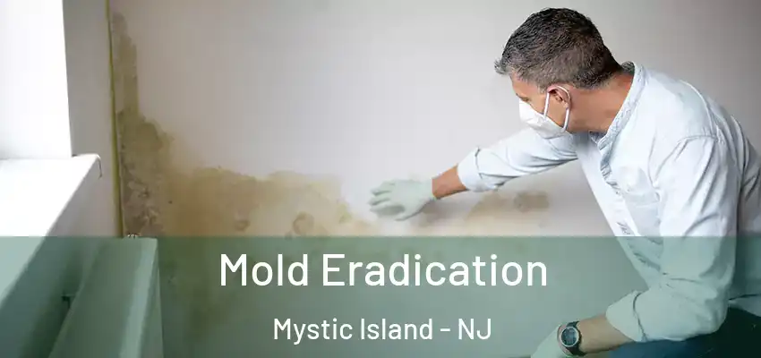  Mold Eradication Mystic Island - NJ
