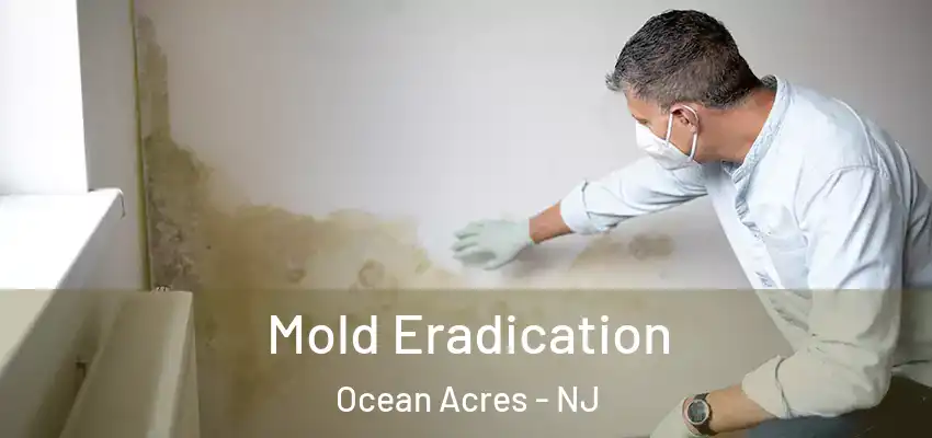  Mold Eradication Ocean Acres - NJ