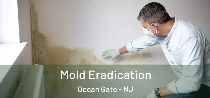  Mold Eradication Ocean Gate - NJ