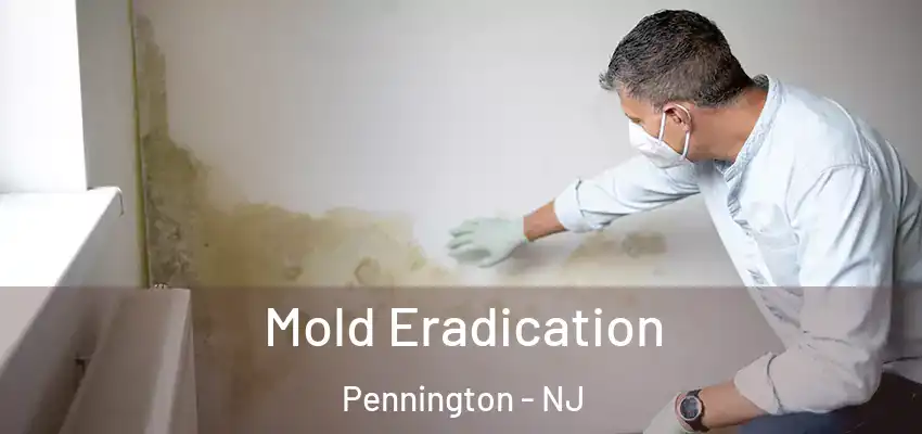  Mold Eradication Pennington - NJ