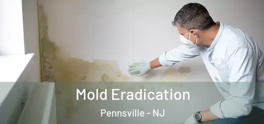  Mold Eradication Pennsville - NJ