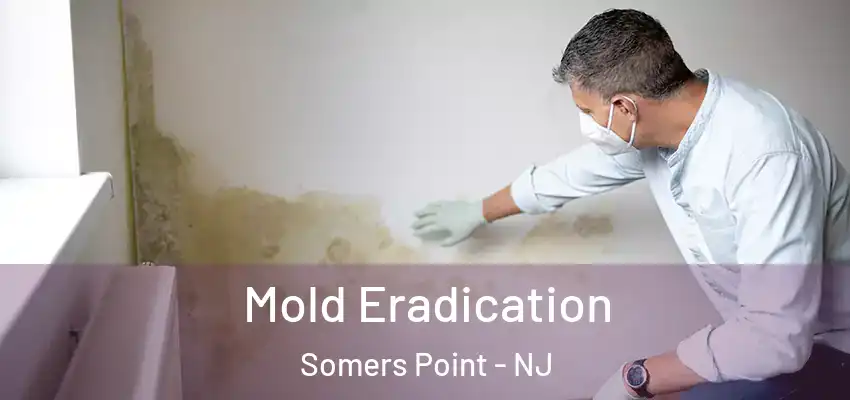  Mold Eradication Somers Point - NJ