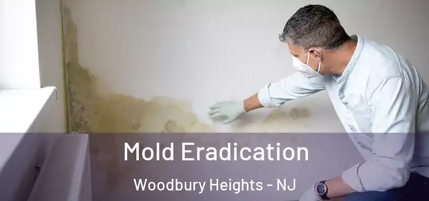 Mold Eradication Woodbury Heights - NJ