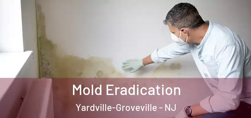 Mold Eradication Yardville-Groveville - NJ