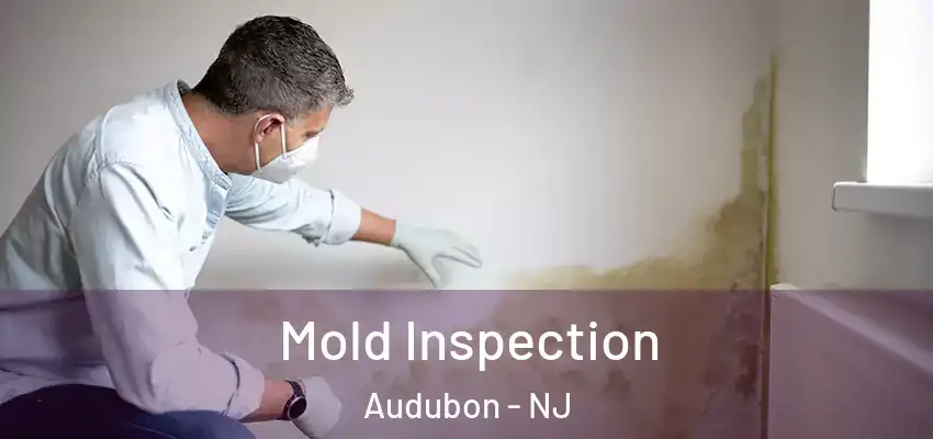  Mold Inspection Audubon - NJ