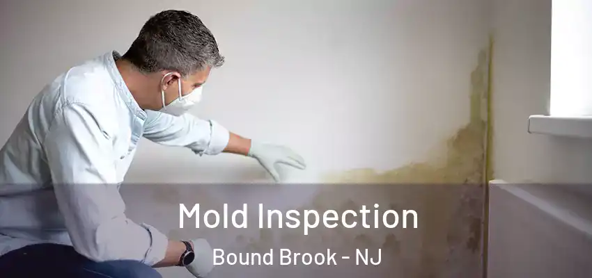  Mold Inspection Bound Brook - NJ