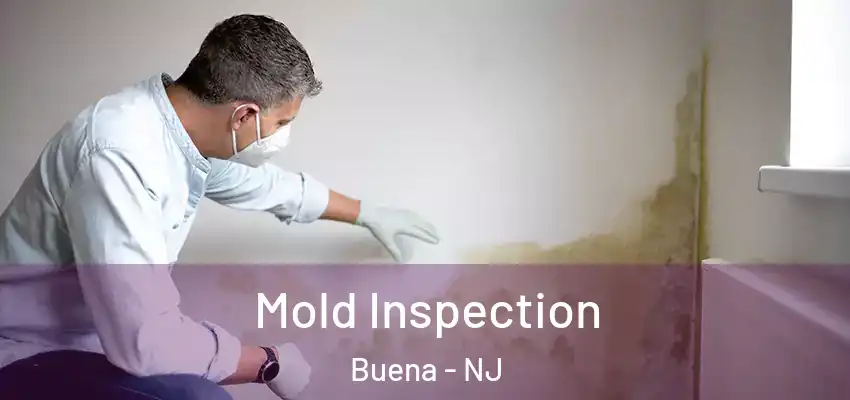 Mold Inspection Buena - NJ