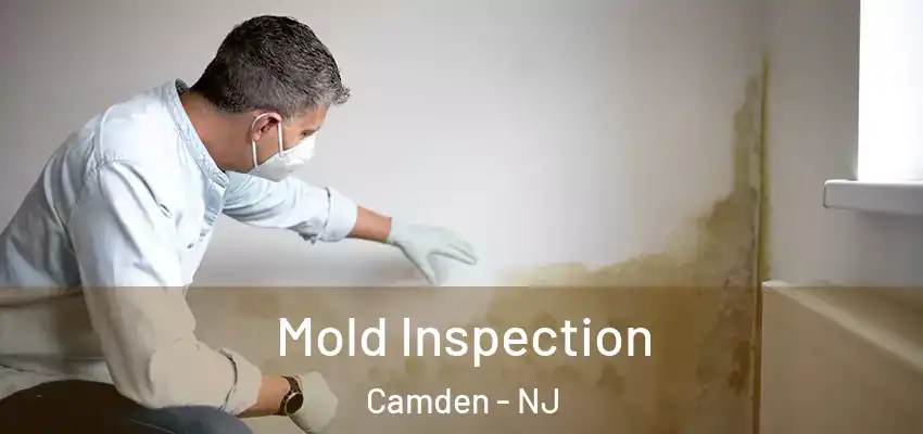 Mold Inspection Camden - NJ