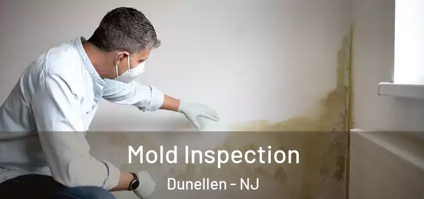  Mold Inspection Dunellen - NJ