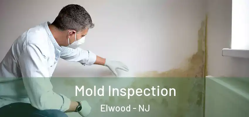 Mold Inspection Elwood - NJ