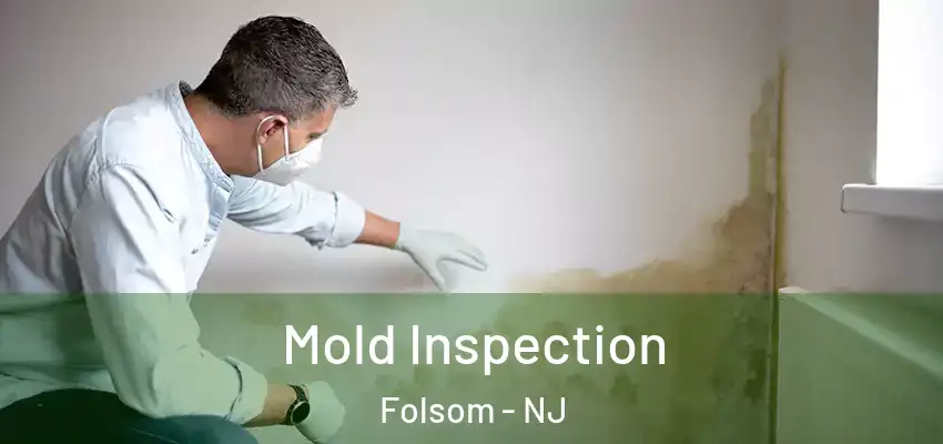 Mold Inspection Folsom - NJ