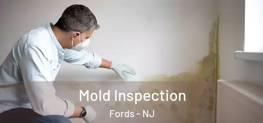 Mold Inspection Fords - NJ