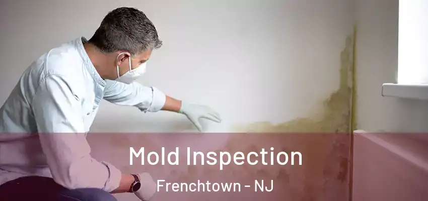 Mold Inspection Frenchtown - NJ