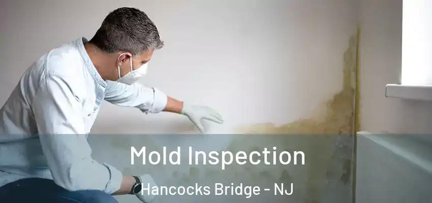  Mold Inspection Hancocks Bridge - NJ