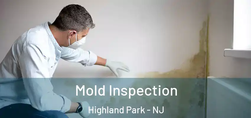  Mold Inspection Highland Park - NJ