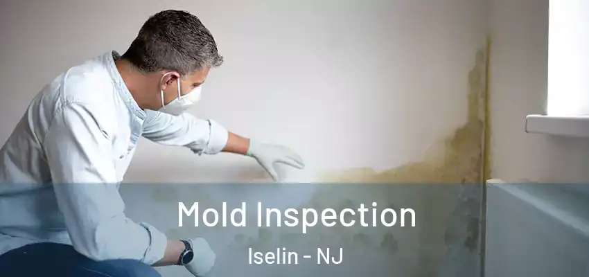  Mold Inspection Iselin - NJ
