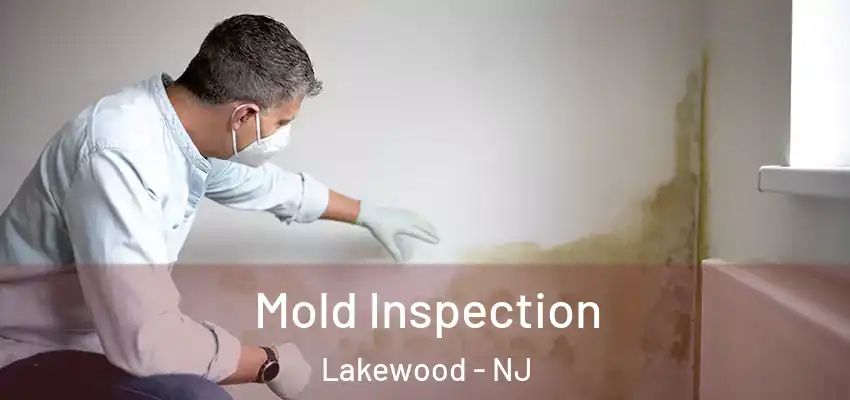 Mold Inspection Lakewood - NJ