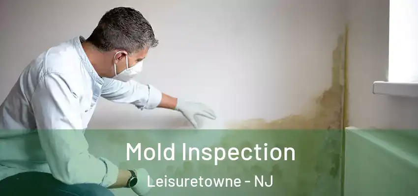  Mold Inspection Leisuretowne - NJ