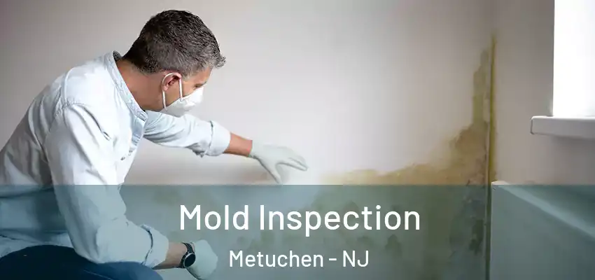 Mold Inspection Metuchen - NJ