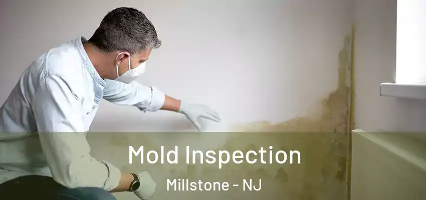  Mold Inspection Millstone - NJ