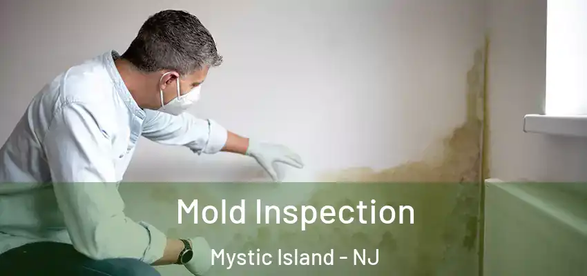  Mold Inspection Mystic Island - NJ