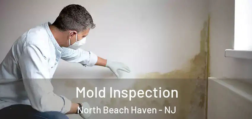  Mold Inspection North Beach Haven - NJ