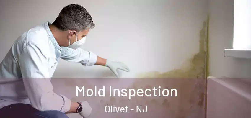 Mold Inspection Olivet - NJ