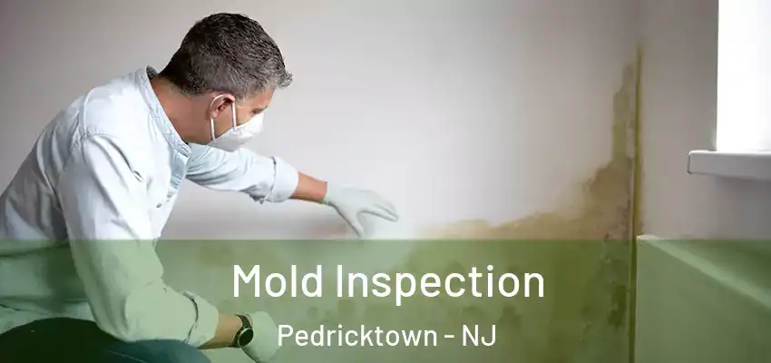 Mold Inspection Pedricktown - NJ