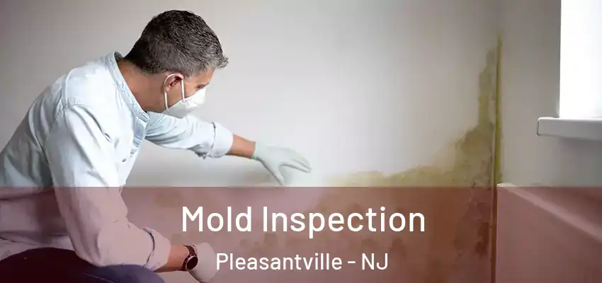 Mold Inspection Pleasantville - NJ